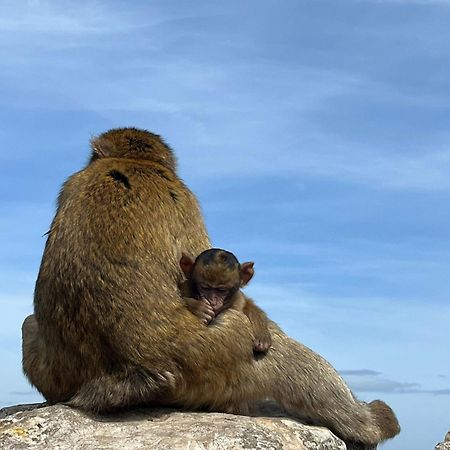 Sunny Gibraltarアパートメント エクステリア 写真